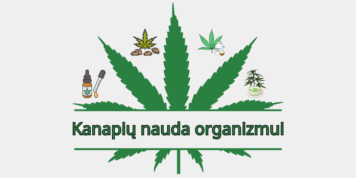 Kanapių nauda organizmui